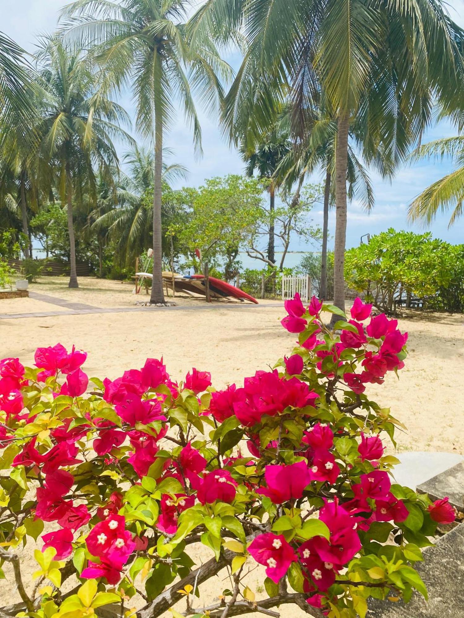 Villa Sethawadi Hotel And Kitesurf Centre كالبيتيا المظهر الخارجي الصورة
